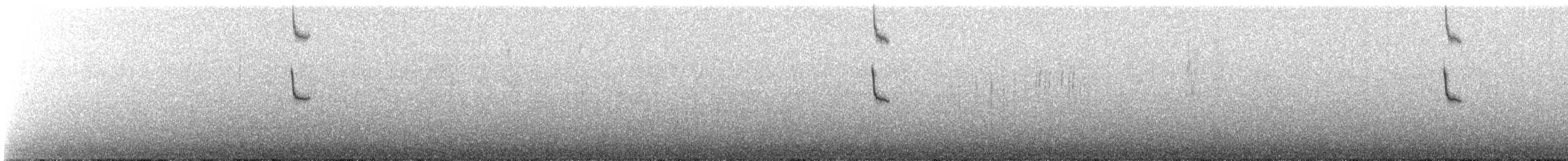 Белобородая горная нимфа - ML503524791