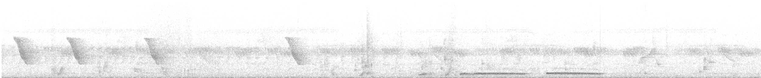 Common Tailorbird - ML503602951