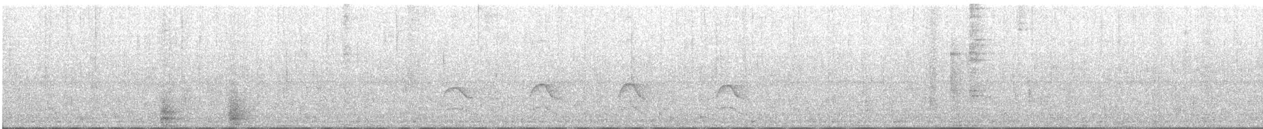 Shikra - ML503603061