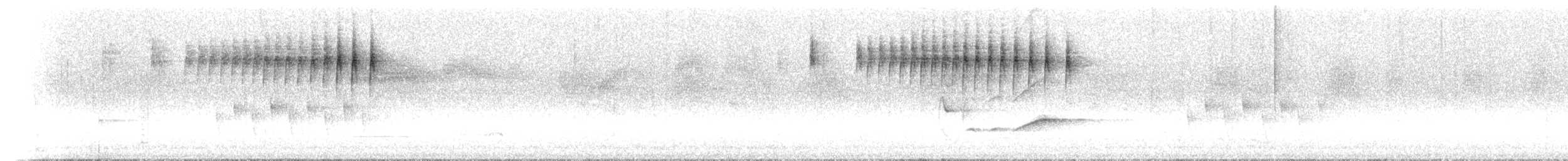 Appert's Tetraka - ML503629971