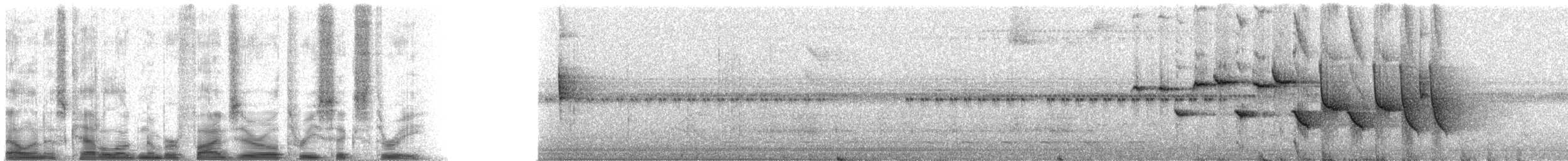 Flavescent Warbler - ML50363