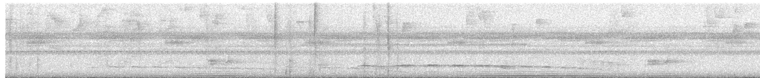 Dwarf Tyrant-Manakin - ML503640021