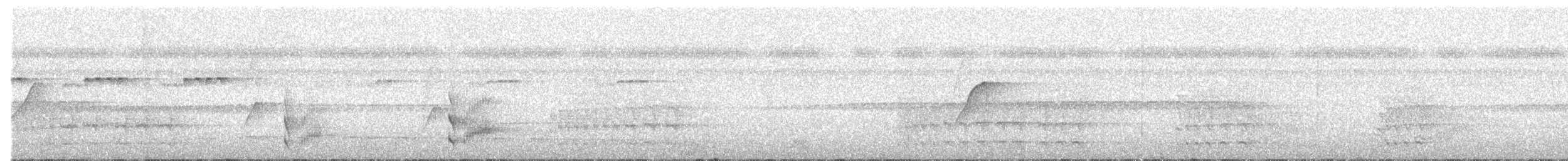 Blue-capped Manakin - ML503640191