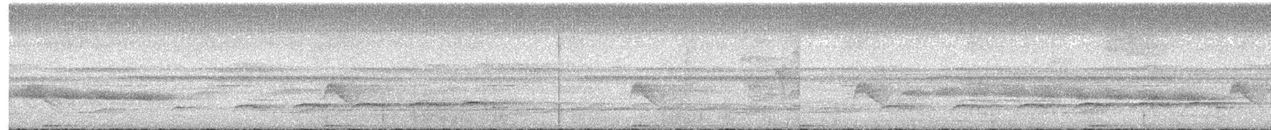 Bright-rumped Attila - ML503643171