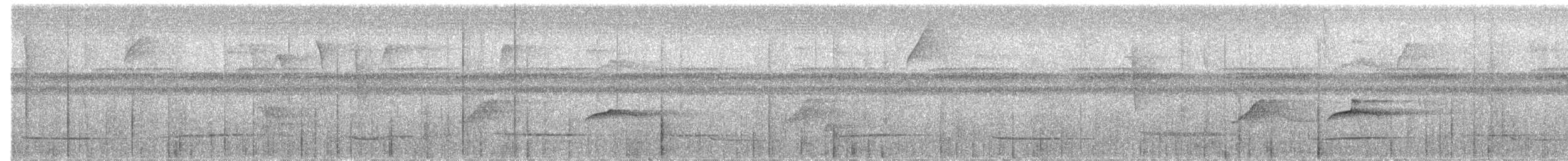 Piratic Flycatcher - ML503646521