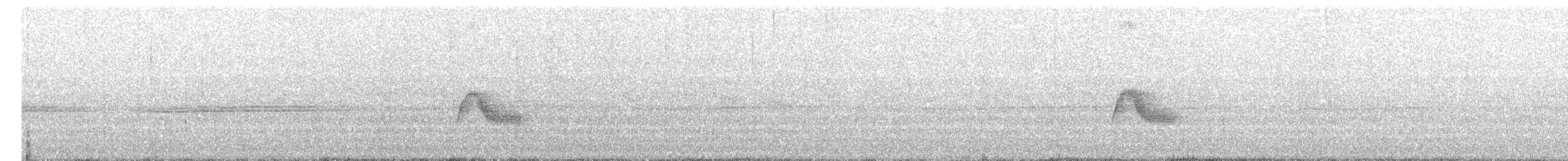 Mosquero Parduzco - ML503647721