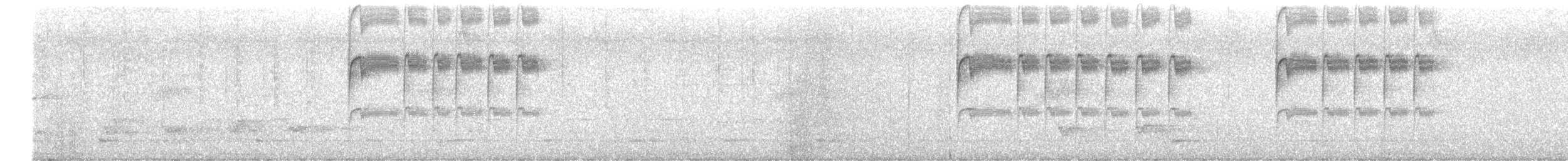 Белогорлый колибри - ML503666861
