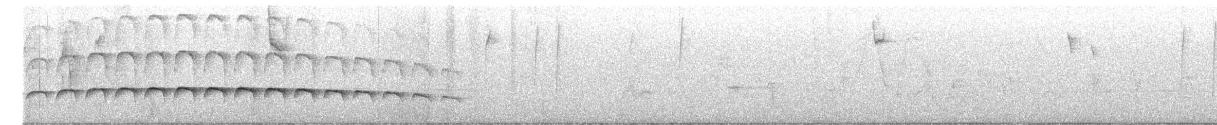 Large-tailed Antshrike - ML503748361