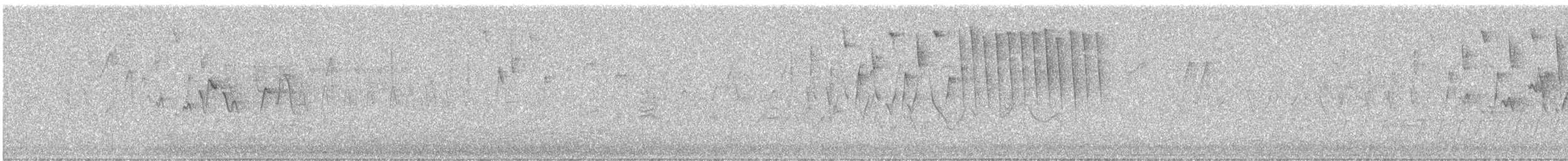 Tennessee Warbler - ML503779791