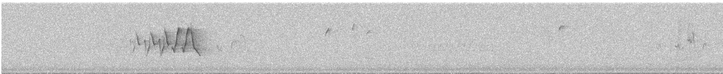 Chestnut-sided Warbler - ML503782201