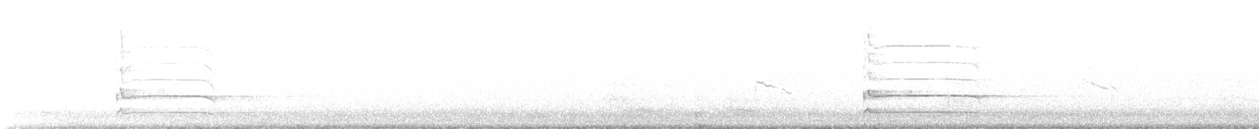 Хар тоншуул - ML503813471