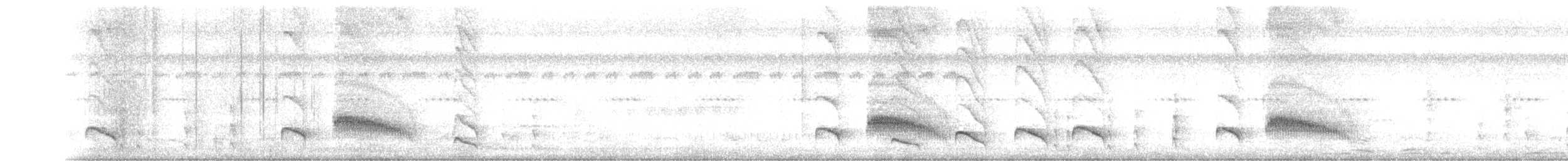 Riparian Antbird - ML503819021