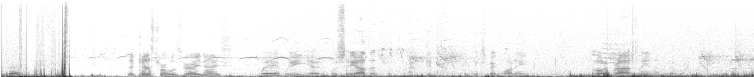 ostnák lotosový - ML503830321