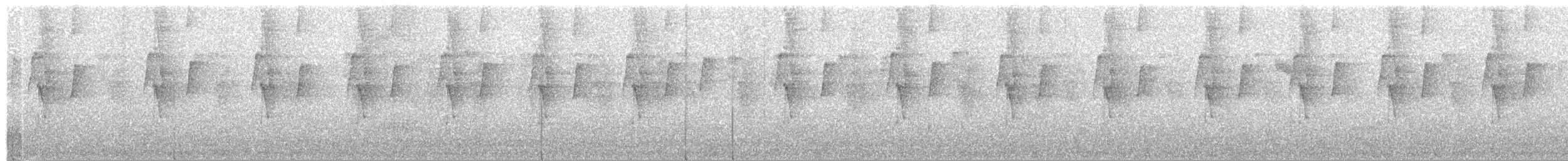 Большеклювый колибри-отшельник - ML503853081