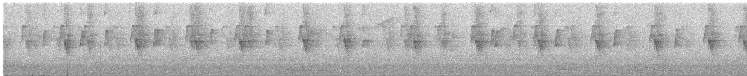 Большеклювый колибри-отшельник - ML503853091
