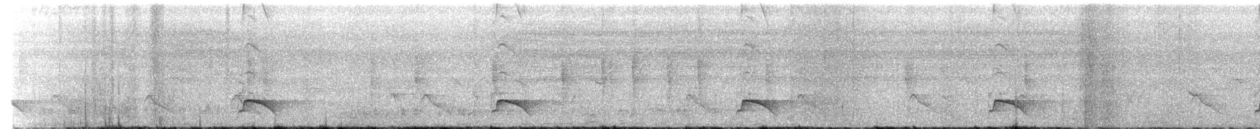 Kara Sırtlı Pofuduksırt (affinis) - ML503855151