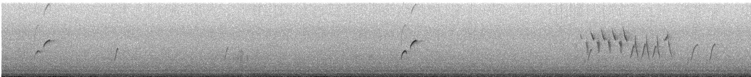 Batı Amerika Sinekkapanı (occidentalis/hellmayri) - ML503874291