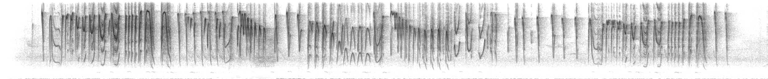 Wedge-tailed Jery - ML503917101