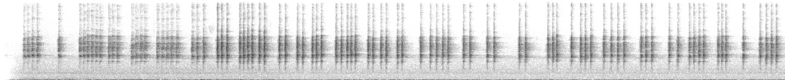 madagaskarsanger (typica gr.) - ML503918381