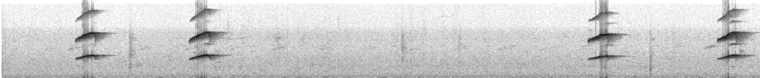 krahujec americký (ssp. ventralis) - ML503937711