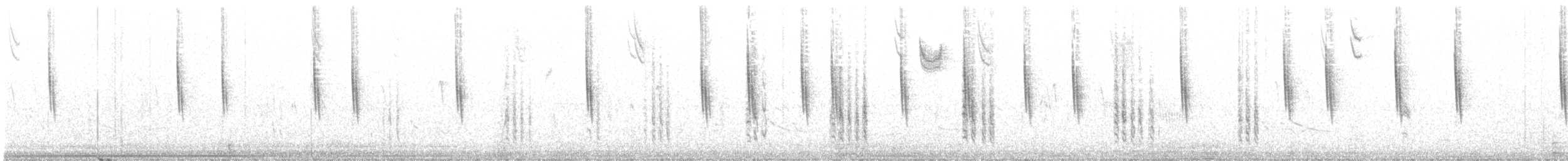 Troglodyte à bec court - ML503944831