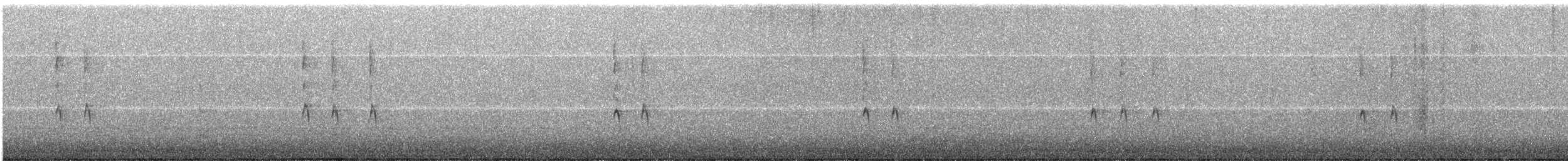 Winter Wren - ML503947381