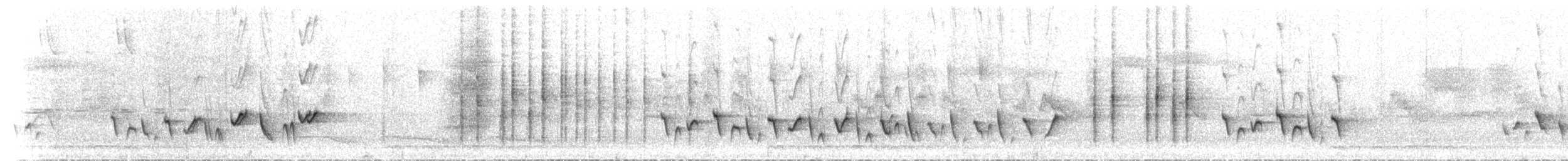 Newtonia Oscura - ML503957731