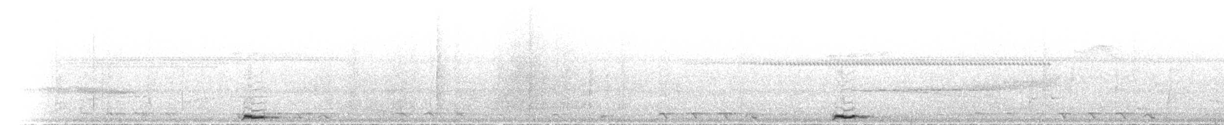 Boyalı Yerkuzgunu - ML503959011