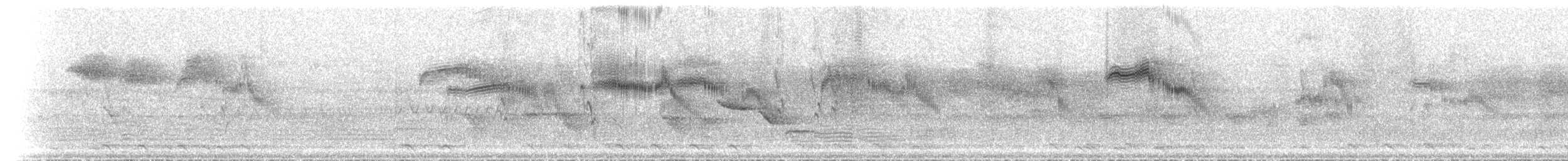 Malagasy Swift - ML503984101