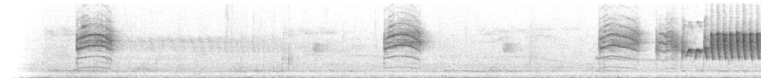 Souimanga Sunbird - ML503984811