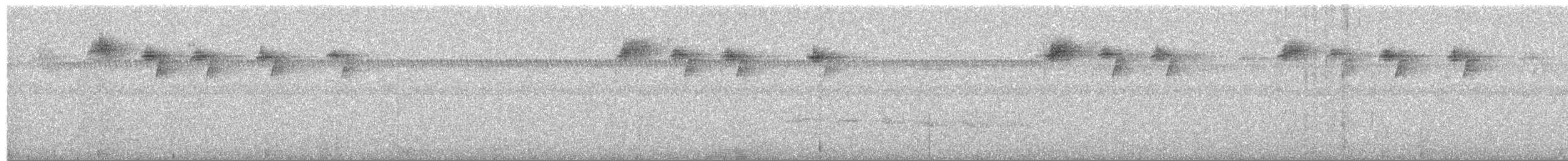 Черногорлый колибри-отшельник - ML504006521