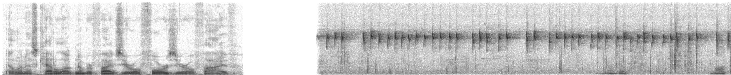 Kambodschamistelfresser - ML50405