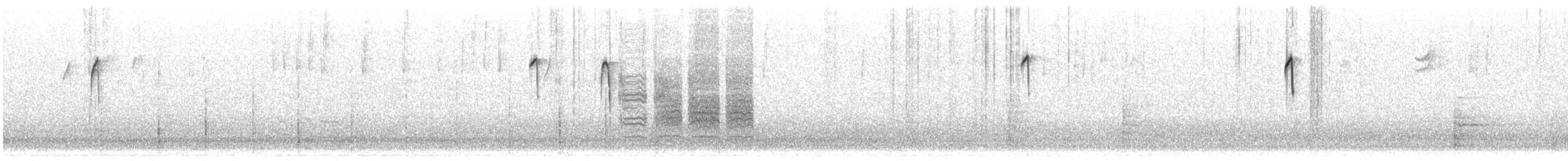 Carbonero Cabecinegro - ML504066691