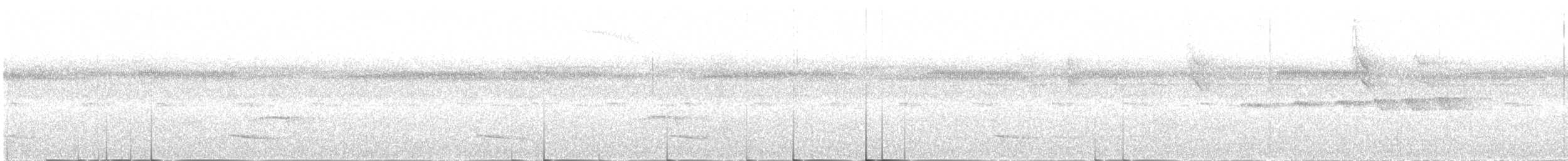 Grauscheitel-Ameisenvogel - ML504068871