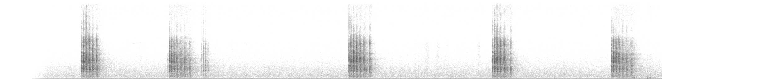 karančo jižní (ssp. plancus) - ML504071161