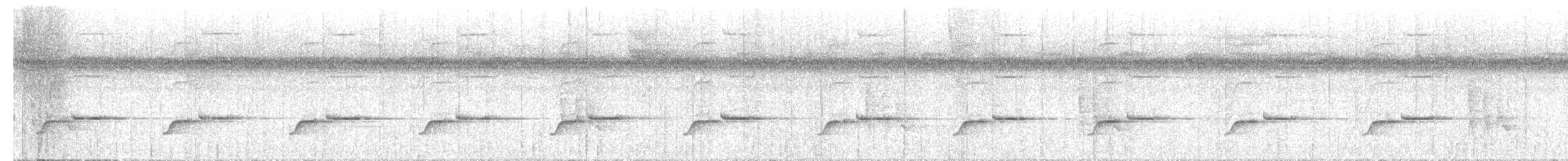 Troglodyte balafré - ML504076311