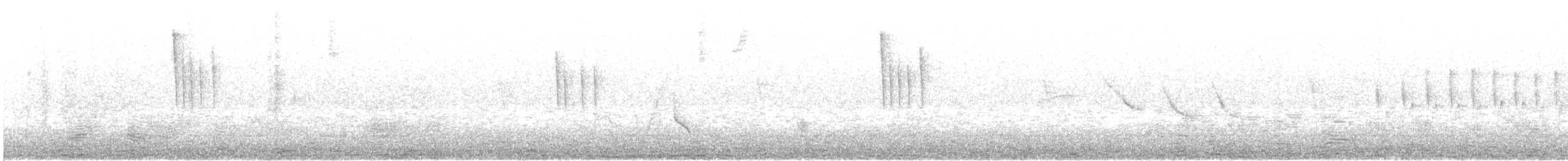 White-crested Tyrannulet (White-bellied) - ML504102851