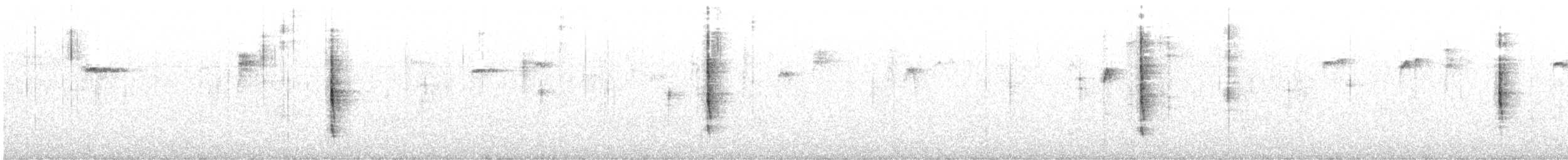 Troglodyte de Baird - ML504121241