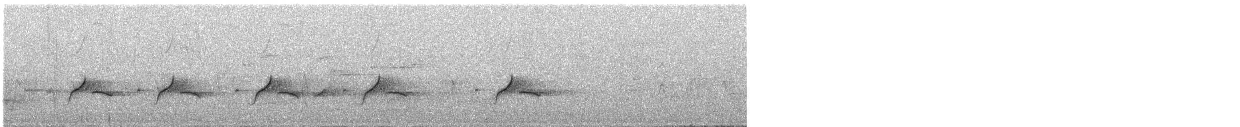 Stutzschnabel - ML504154711