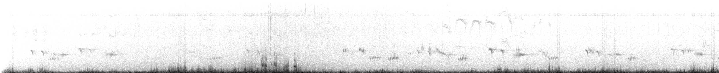 Kara Boğazlı Kamçıkuşu - ML504197111