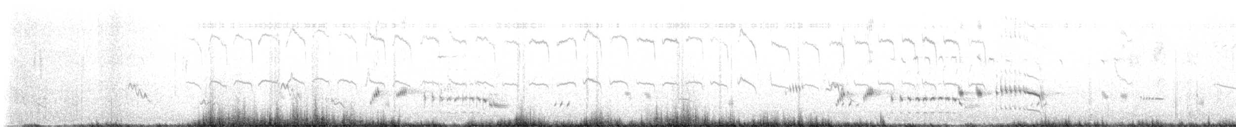 Kara Boğazlı Kamçıkuşu - ML504202841
