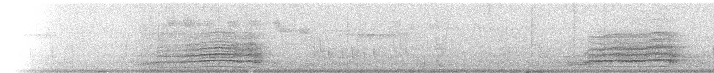 White-throated Rail - ML504218391