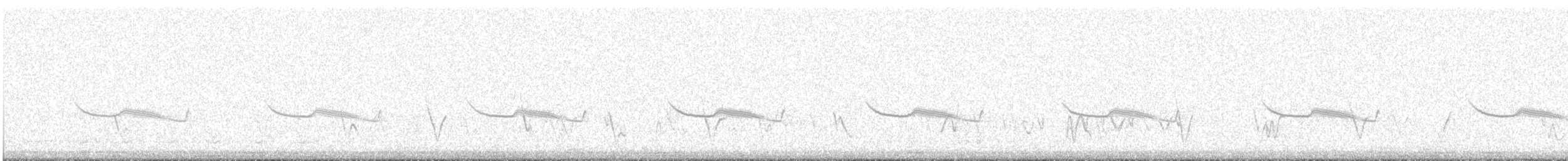 Дрімлюга довгодзьобий (підвид bifasciata/patagonica) - ML504239121