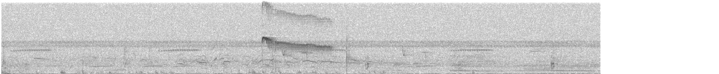 Grauscheitel-Tachurityrann - ML504239501