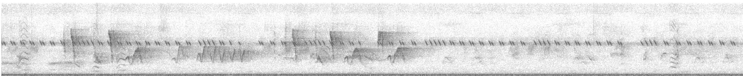 maskeastrild (personata) - ML504240561