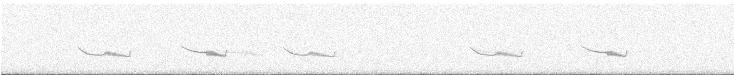 Дрімлюга довгодзьобий (підвид bifasciata/patagonica) - ML504247191