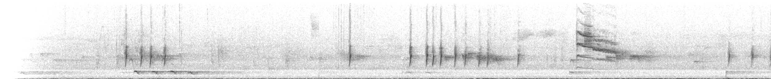 Souimanga Sunbird - ML504263661