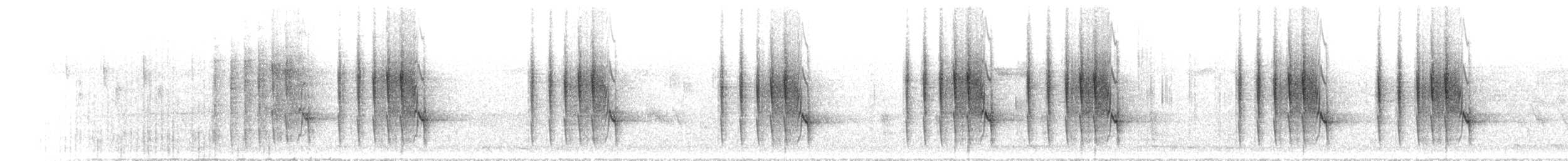 Rotschwanzvanga - ML504263851