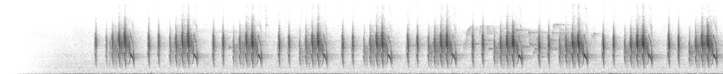 Rotschwanzvanga - ML504263861