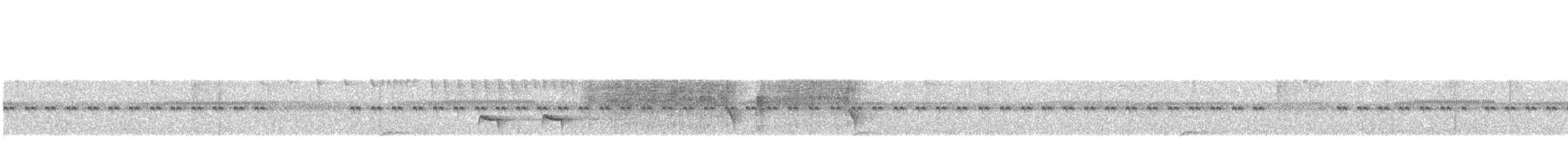 Klages's Antbird - ML504264621